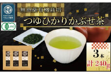 有機 煎茶 つゆひかり かぶせ茶 80g 3本 計240g  お茶 煎茶 水出し 贈答 ギフト お取り寄せ 静岡県産 マルムラ製茶 藤枝