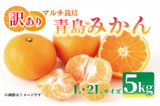 【先行予約：2026年1月上旬より発送】 訳あり みかん 5kg L～2L 青島 ミカン 果物 国産 フルーツ 柑橘 数量限定 静岡県産 マルチ栽培 蜜柑 大小 ミックス 不揃い ビタミン 美味しい 静岡県 藤枝市 ふるさと人気