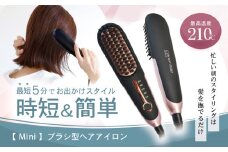 ヘアアイロン ケアライズ ミニ ブラシ 型 B-50 美容 髪 旅行 おでかけ 持ち運び 簡単 手軽 ショート ロング 静岡県 藤枝市