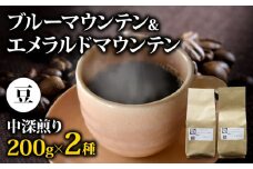 コーヒー豆 400g ブルーマウンテン エメラルドマウンテン 各200gセット メール便でお届け コーヒー 高級 美味しい 鮮度 新鮮 自家焙煎 珈琲 藤枝市 静岡県