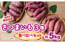 【2025年11月～順次発送予定】 さつまいも 3種 食べ比べセット 約5kg 紅はるか シルクスイート 安納芋 芋 期間限定 サツマイモ  化学肥料 農薬 不使用 焼き芋 旬 季節限定 期間限定  静岡県 藤枝市