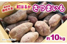 【2025年11月～順次発送予定】 さつまいも 紅はるか 約10kg 期間限定 サツマイモ 焼き芋 イモ 芋 いも 野菜 健康 やさい 人気 おすすめ 静岡県 藤枝市