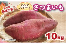 【2025年11月～順次発送予定】 さつまいも シルクスイート 約10kg 期間限定 サツマイモ 焼き芋 イモ 芋 いも 野菜 健康 やさい 人気 おすすめ 静岡県 藤枝市