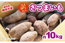 【2025年11月～順次発送予定】  訳あり さつまいも 約10kg 安納芋 紅はるか シルクスイート 栽培期間中 化学肥料 農薬 不使用 訳あり品 野菜 芋 期間限定 サツマイモ 焼き芋 旬 季節限定 静岡県 藤枝市
