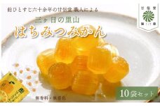 飴 はちみつみかん 10袋 静岡の恵みシリーズ 三ケ日の里山 はちみつ みかん あめ アメ 個包装 おかし お菓子 おやつ 昔ながら 間食 食べ比べ スイーツ 老舗 ご当地 静岡県 藤枝市 甘信堂製菓