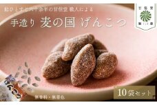飴 げんこつ飴 10袋 あめ 麦の国 黒糖 国産大麦 無香料 無着色 アメ おかし げんこつ お菓子 おやつ 昔ながら 間食 食べ比べ スイーツ 老舗 ご当地 静岡県 藤枝市 甘信堂製菓