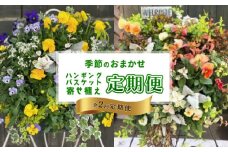 【全2回定期便】 【オンライン決済限定】 花 ハンギングバスケット 寄せ植え 生花 自然 お花 植物 フラワー ギフト ガーデニング 飾り 庭 ベランダ 壁掛け 贈り物 おすすめ オススメ 静岡県 藤枝市