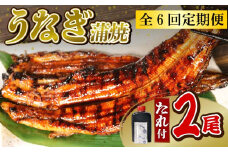 【全6回定期便】うなぎ 蒲焼 大姿焼き 2尾 (140g×2)   定期便 鰻蒲焼 ウナギ かばやき 土用 丑の日  活鰻 自家製蒲焼 たれ 山椒 ギフト 贈答   冷蔵 まとめ買い 静岡県 藤枝 ふるさと人気