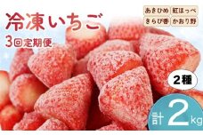 【全3回定期便】 冷凍 いちご 計2kg セット 紅ほっぺ 章姫 きらぴ香 かおり野 フルーツ 果物 イチゴ フローズン スムージー ヨーグルト 苺 静岡県 藤枝市 ふるさと人気