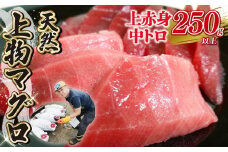 天然 マグロ 2種 250g 以上  刺身 上物 まぐろ 鮪 赤身 中トロ 冷凍 静岡県 藤枝市