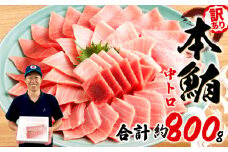 【組み合わせが選べる】 訳あり 本まぐろ 中とろ 中とろ セット 約 800g 不定型柵 鮪 まぐろ 中トロ 冷凍 鮪 漬け マグロ ユッケ 海鮮 本マグロ 本まぐろ 人気 まぐろ おいしい まぐろ 静岡 藤枝