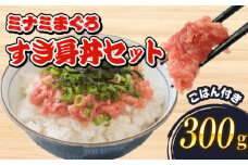 ミナミ マグロ 中トロ すき身 丼 セット 300g 南鮪 南まぐろ ミナミマグロ まぐろ 鮪 ごはん ご飯 加納商店 静岡県 藤枝市