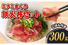 ミナミ マグロ 中トロ 切り落とし 丼 セット 鉄火丼 南鮪 南まぐろ ミナミマグロ ごはん 加納商店 ご飯 静岡県 藤枝市