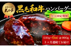 【全3回定期便】ハンバーグ 国産 和牛 900g 150g × 6個入り 創業120年 大正亭 自家製 デミグラスソース 家庭用 レシピ付き 小分け 冷凍 人気 おすすめ 静岡県 藤枝市