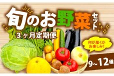 【全3回定期便】 野菜 詰め合わせ おまかせ 野菜詰合せ （9～12種） 野菜 詰合せ 9～12種 おまかせ 旬 まんさいかん ボックス 静岡県 藤枝市 (人気野菜 ふるさと納税野菜 ふるさと野菜 furusato野菜 おすすめ野菜 送料無料野菜 静岡県 藤枝市 )