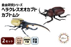 模型 昆虫 自由研究シリーズセット ヘラクレスオオカブト カブトムシ 2セット 玩具 ホビー 夏休み 虫 ヘラクレス 送料無料 フジミ 静岡県 藤枝市