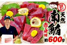 【2025年8月発送】 訳あり 天然 南マグロ 赤身 約600g 不定型柵 まぐろ 解凍 鮪 漬け マグロ ユッケ マグロ 海鮮 ミナミ マグロ ふるさと人気