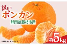 【先行予約：2026年1月下旬より発送】 訳あり みかん 5kg M～2L ポンカン ミカン 果物 国産 フルーツ 柑橘 数量限定 静岡県産 蜜柑 大小 ミックス 不揃い ビタミン 美味しい 静岡県 藤枝市 ふるさと人気