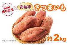 【2025年11月～順次発送予定】 さつまいも 安納芋 約2kg 期間限定 期間限定 サツマイモ 焼き芋 イモ 芋 いも 野菜 健康 やさい 人気 おすすめ 静岡県 藤枝市
