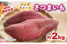 【2025年11月～順次発送予定】 さつまいも シルクスイート 約2kg 期間限定 サツマイモ 焼き芋 イモ 芋 いも 野菜 健康 やさい 人気 おすすめ 静岡県 藤枝市