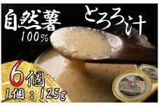 【 敬老の日 9月11日～15日にお届け ！】 とろろ 冷凍 125g × 6個 自然薯 100％ 小分け セット とろろ汁 長芋 山芋 お手軽 アンチエイジング 農林水産省賞 受賞 ご飯 お供 そば つけ汁 健康 栄養 夏 バテ とろろ芋 個包装 便利 簡単 静岡県 藤枝市
