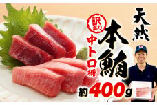 【2025年9月配送】 訳あり まぐろ 天然 本鮪 中とろ 約400g 不定型柵 鮪 まぐろ 冷凍 鮪 漬け マグロ ユッケ 海鮮 本マグロ 本まぐろ 人気 まぐろ おいしい まぐろ 鮪 静岡 藤枝