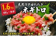 【クラファン支援対象返礼品！】【2025年9月発送】 訳あり ネギトロ まぐろ 約1,6kg 16袋 100g × 16パック 小分けパック ねぎとろ 鮪 たたき 魚 魚介 新鮮 天然 目鉢 キハダ マグロ 冷凍 すきみ 鮪のタタキ 寿司 すし 手巻き寿司 人気 おすすめ 送料無料 静岡県 藤枝