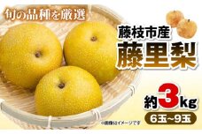 【オンライン決済限定】 梨 藤里梨 3kg  ( 6 玉 ～ 9玉 )  フルーツ 果物 くだもの 梨 なし ナシ 旬 梨