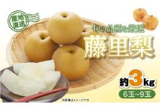 【オンライン決済限定】 梨 藤里梨 3kg  ( 6 玉 ～ 9玉 )  フルーツ 果物 くだもの 梨 なし ナシ 旬 梨