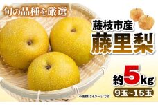 【オンライン決済限定】 梨 藤里梨 5kg  ( 9玉 ～ 15玉 )  フルーツ 果物 くだもの 梨 なし ナシ 旬 梨