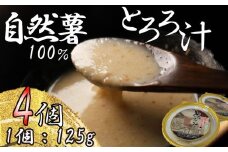 とろろ 冷凍 125g × 4個 自然薯 100％ 小分け セット とろろ汁 長芋 山芋 お手軽 アンチエイジング 農林水産省賞 受賞 ご飯 お供 そば つけ汁 健康 栄養 夏 バテ とろろ芋 個包装 静岡県 藤枝市 