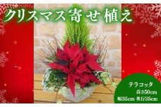 【先行予約】 花 クリスマス 寄植え テラコッタ ポインセチア ガーデニング ギフト 花鉢 冬 季節 ガーデン ガーデニング 庭 贈答 プレゼント ギフト 植物 2025年11月中旬より発送開始 オンライン決済限定 [4756341]