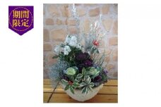 【先行予約】 花 花苗 寄せ植え 葉牡丹 お花 正月 飾り テラコッタ ガーデニング 冬 季節 ガーデン ガーデニング 庭 贈答 プレゼント ギフト 植物 2025年11月下旬より発送開始 オンライン決済限定 [4756342]