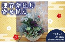 【先行予約】 花 花苗 寄せ植え 葉牡丹 お花 正月 飾り テラコッタ ガーデニング 冬 季節 ガーデン ガーデニング 庭 贈答 プレゼント ギフト 植物 2025年11月下旬より発送開始 オンライン決済限定 [4756342]