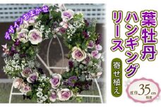 【先行予約】 花 葉牡丹 ハンギング リース 寄せ植え お正月 迎春 冬 季節 ガーデン ガーデニング 庭 贈答 プレゼント ギフト 植物 2025年11月下旬より発送開始 オンライン決済限定 [4756347]