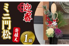 【先行予約】 門松 ミニ 寄植え 6号 ロング 鉢入り お正月 迎春 新春 福 豪華 竹 生竹 シンプル 葉牡丹 葉ボタン 和 洋 2025年12月中旬より順次発送 オンライン決済限定 [5993431]
