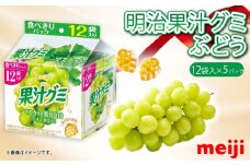 明治 果汁グミスマートパック マスカット 163ｇ × 5個 グミ お菓子 おやつ フルーツ 果物 果汁 詰め合わせ 詰合せ セット まとめ買い 静岡県 藤枝市 