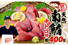 【2025年10月発送】 訳あり 天然 南マグロ 中トロ 約400g 不定型柵 まぐろ とろ 解凍 鮪 漬け マグロ ユッケ マグロ 海鮮 ミナミ マグロ
