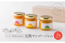 ジャム マンゴー 3種 85g × 3 詰合せ セット フルーツジャム 手作り 完熟マンゴー ギフト 贈答 プレゼント 静岡県 藤枝市 
