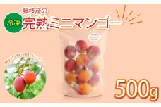 マンゴー 完熟 冷凍 ミニマンゴー 500g 国産 フルーツ 果物 デザート スイーツ おやつ トッピング 甘い 静岡県 藤枝市