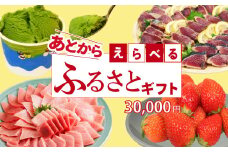 ゆっくりえらべる カタログ 3万円 あとから選べる 鮮魚 肉 米 酒 定期便 フルーツ スイーツ 選べる ジェラート ギフト 静岡県 藤枝市