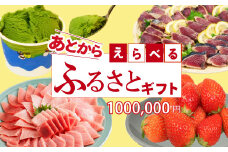 ゆっくりえらべる カタログ 100万円 あとから選べる 鮮魚 肉 米 酒 定期便 フルーツ スイーツ 選べる ジェラート ギフト 静岡県 藤枝市