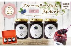 ブルーベリー ジャム 3本 詰め合わせ 無添加 英国 マーマレード アワード 受賞 工房 国産 フルーツ ブルーベリージャム やまゆ スイーツ ギフト 贈り物 季節 静岡県 藤枝市 トースト パン 朝食 朝ご飯