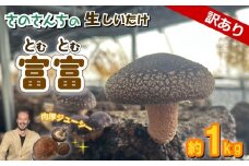【先行予約：2025年11月以降順次発送】訳あり 生 しいたけ 富富（とむとむ）約1kg さのさんち 椎茸 シイタケ 肉厚 ジューシー きのこ 静岡県 藤枝市 人気 野菜 旬 安心 安全 JGAP認証農場
