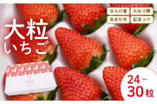 【先行予約：2026年3月発送】  いちご 大粒 24～30粒 苺 旬 産地 直送 フレッシュ イチゴ 紅ほっぺ 章姫 あきひめ きらぴ香 かおりの フルーツ 果物 国産 ジャパン ベリー 静岡県 藤枝市