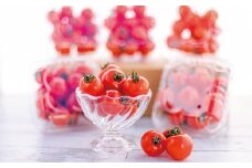 御殿場プチトマト　あっこひめ　６パック（約1.2kg）
※2025年1月下旬～7月上旬頃に順次発送予定
※離島への配送不可
