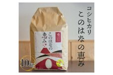 ごてんばこしひかり「このはなの恵み」10kg【お米　コシヒカリ】