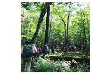 山小屋で昼食＆プロガイド付き富士山五合目トレッキング（ペア）◇【体験　自然　トレッキング　ハイキング】