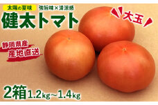 【先行受付】太陽の夏味 健太トマト 約1.2kg～1.4kg×2箱 ｜ 大玉トマト トマト とまと 甘い 野菜 やさい リコピン ヘルシー 新鮮 産地直送
※2024年7月下旬頃～9月中旬頃に順次発送予定
