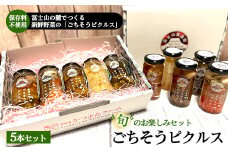《旬のお楽しみセット》ごちそうピクルス 5本セット ｜ ピクルス ぴくるす セット 詰め合わせ 健康 ヘルシー 料理 食材 漬物